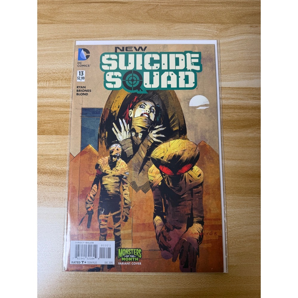 New Suicide Squad 13 Variant Cover DC Comics 2015